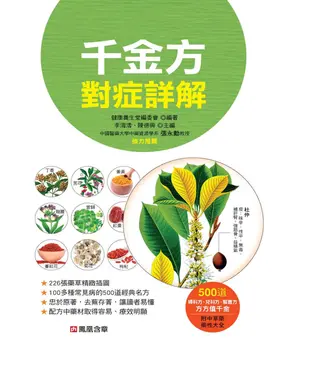 書封 千金方對症詳解