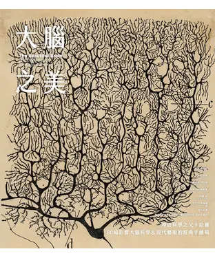 書封 大腦之美：神經科學之父卡哈爾，80幅影響大腦科學＆現代藝術的經典手繪稿