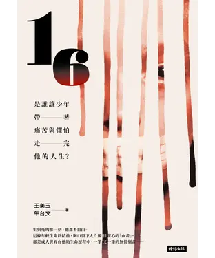 書封 16：是誰讓少年帶著痛苦與懼怕走完他的人生