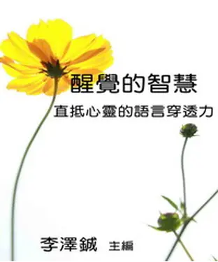 書封 醒覺的智慧：直抵心靈的語言穿透力