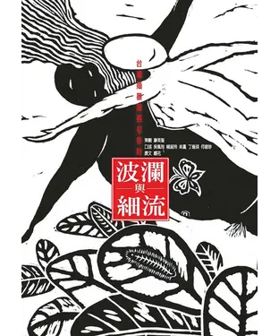 書封 波瀾與細流：台灣婚暴服務初啟時